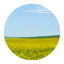 acting-globally-staging-new.pages.dev favicon
